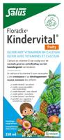 Salus Floradix kindervital fruity glutenvrij 250 Milliliter