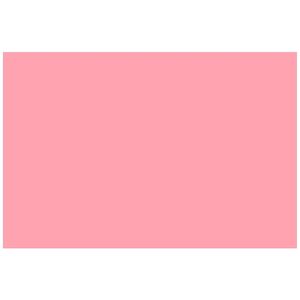 Roze vlaggen 150 x 90 cm   -