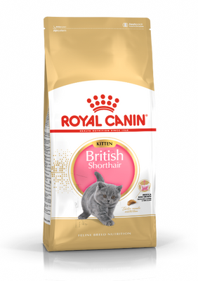 Royal Canin British Shorthair voer voor kitten 2kg