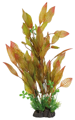 Superfish Art Plant 40 cm Henkelianus