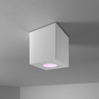 Gibbon Smart LED opbouw plafondspot - Vierkant - IP65 waterdicht - RGBWW Smart GU10 - WiFi & Bluetooth - Plafondlamp geschikt voor badkamer - Wit