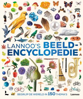 Lannoo&apos;s beeldencyclopedie (Hardback)