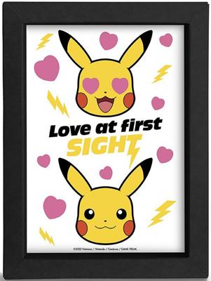Pokemon Kraft Frame - Love at First Sight