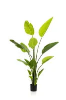 Kunstplant Strelitzia Nicolai 150cm
