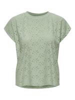 Only Onlsmilla Life S/s Top Jrs Noos T-shirts Frosty Green