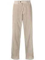 Mackintosh pantalon chino en velours côtelé - Tons neutres