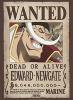 Poster One Piece Wanted Whitebeard 38x52cm