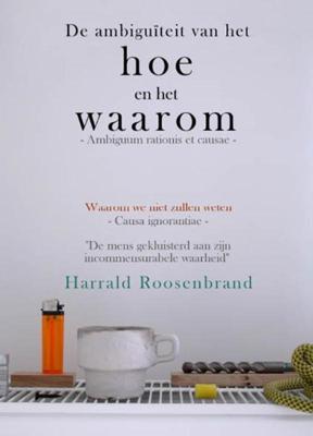 De ambiguïteit van het hoe en het waarom (Paperback)