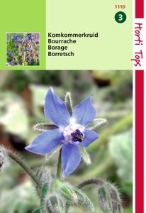 Komkommerkruid Borage - Hortitops