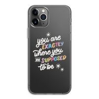 Right Place: iPhone 11 Pro Transparant Hoesje