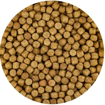 Vivani Wheat Germ 6mm Koivoer - 15kg Zak - Optimaal voor Koi Gezondheid vanaf 8°C