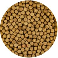 Vivani Wheat Germ 6mm Koivoer - 15kg Zak - Optimaal voor Koi Gezondheid vanaf 8°C