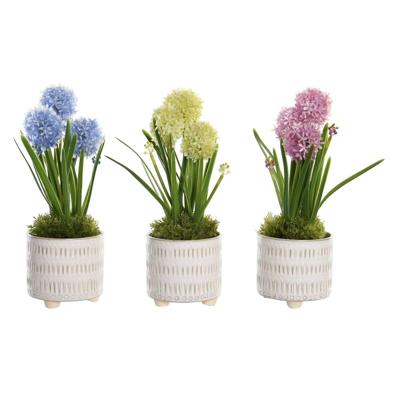 Decoratieve plant DKD Home Decor Schuim Blauw Roze Geel Polypropyleen 15 x 15 x 30 cm (3 Onderdelen)