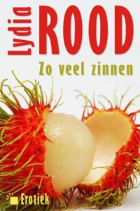 Zoveel zinnen van Lydia Rood - Lydia Rood - ebook