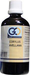 GO Corylus avellana