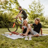 Tickless Active Automatisch Insectenafstoter Geschikt voor gebruik binnen Geschikt voor buitengebruik Groen - thumbnail