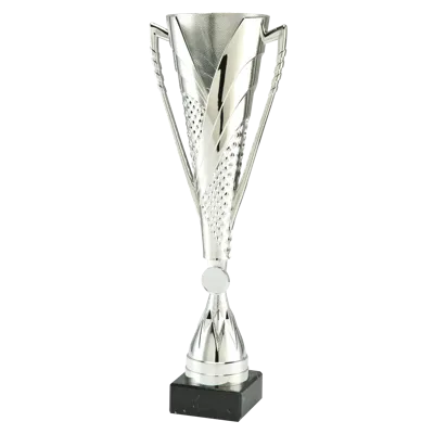 Sportprijzen Leiden Sportprijs ET.449 Sportprijzen Leiden Sportprijs ET.449