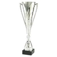 Sportprijzen Leiden Sportprijs ET.449