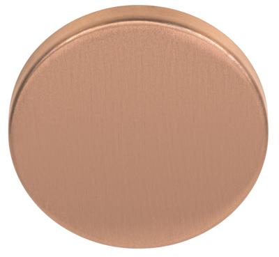 Formani Basics LBB50 blind afdekplaatje - PVD mat brons