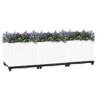 The Living Store Verhoogde Tuinbak Rattan-look - 120 x 40 x 38 cm - Wit - PP - thumbnail