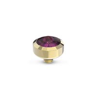 Melano Twisted Glossy Steentje Amethyst Goud Melano Twisted Glossy Steentje Amethyst Goud