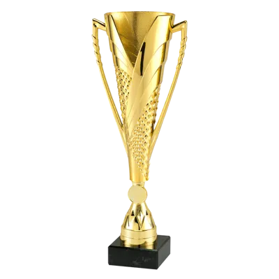Sportprijzen Leiden Sportprijs ET.448 Goud Sportprijzen Leiden Sportprijs ET.448 Goud