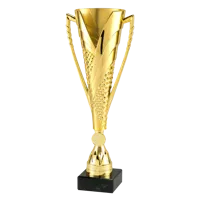 Sportprijzen Leiden Sportprijs ET.448 Goud