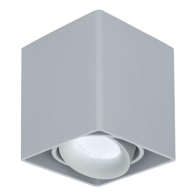 Vierkante LED Opbouwspot Esto - Kantelbaar - Dimbaar - 6000K daglicht wit - 5 Watt 400 lumen- GU10 - Plafondspot - Voor binnen - Vervangbare afdekring - Grijs