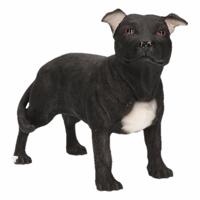 Beeldje Staff Bull Terriër - zwart - hond - 15 cm - polystone