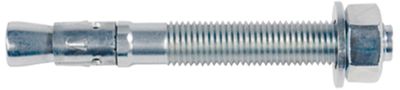 Fischer FBN II 12/100 (12X196) 20 St - 45266