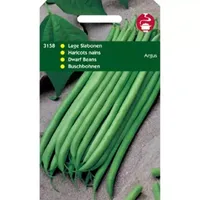 Stamslabonen Haricot Vert Argus, 50 gram