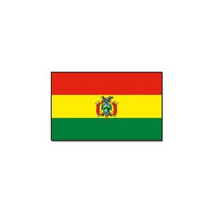 Landen thema vlag Bolivia 90 x 150 cm feestversiering
