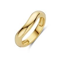 Verfijnde 14k Geelgouden Ring met 4,5mm Breedte