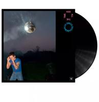 Harry Styles - Kiss All The Time. Disco, Occasionally. (LP)