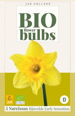 Bio narcis rijnvelds early sensation 5 bollen