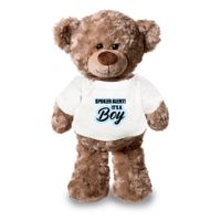 Spoiler alert boy aankondiging jongen pluche teddybeer knuffel 24 cm