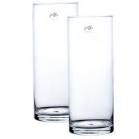 2x Cilinder bloemen vaas helder glas 12 x 30 cm