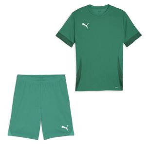 PUMA teamGOAL Matchday Voetbaltenue Groen Wit