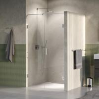 Brauer Void - Nisdeur - 2-Delig - Helder Glas - 120 x 200 cm - Omkeerbaar - met Draaideur 60 cm - Aan Muur - incl. Glascoating - PVD RVS-Kleurig