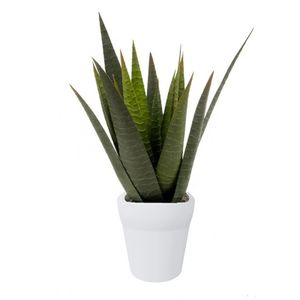 Emerald Kunstplant Aloe Vera - in pot -  23 cm   -