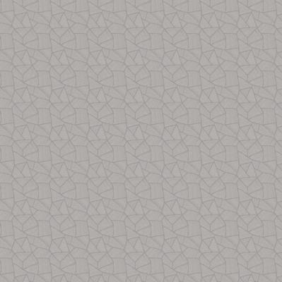 Dutch Wallcoverings Bellagio - Terrazzo Titanium Foss.
