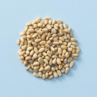 Pijnboompitten geroosterd 180 gram