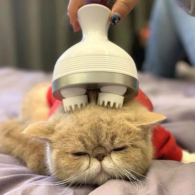 iKristin IK-T1 USB opladen multifunctionele huishoudelijke Pet hoofd Massager handmatige hoofdhuid elektrische massage klauw (wit)