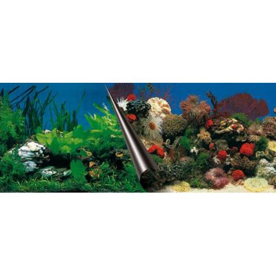 Europet Foto Achterwand Stone & Coral 50x120cm