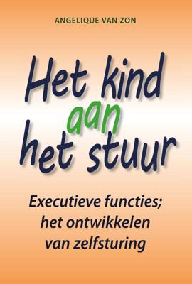Het kind aan het stuur (Paperback)