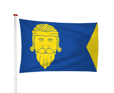 Vlag Wormer