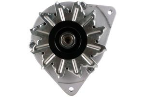 Dynamo Ford 14V 55A 8EL012428881