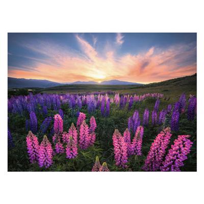 Ravensburger Legpuzzel lupinen, 1000st.