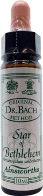 Ainsworths Star of Bethlehem Bach 10 Milliliter