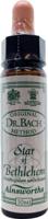 Ainsworths Star of Bethlehem Bach 10 Milliliter